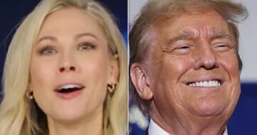 Desi Lydic Gives 'Pathetic Worm' Trump A Blunt Lesson In How Voting Should Work