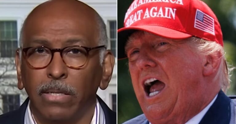 Ex-RNC Chair Trashes Donald Trump Over Trial In Most Sarcastic Way