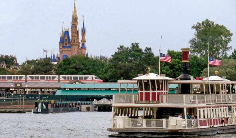 Man Sues Disney After Falling Into Trash Can on Ferry